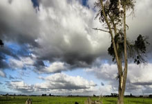 女足直播平台该如何选择?资深球迷分享实用指南