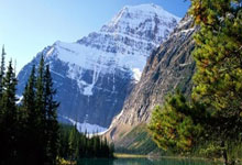 人人体育直播赛事能满足体育迷的观赛需求吗?